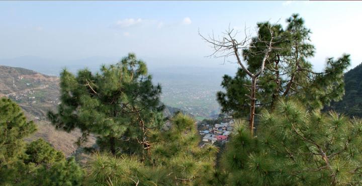 Hotel Deodar Villa Dharamshala Bagian luar foto